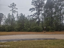 Land property for sale in Perkinston, MS