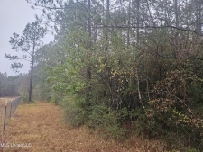 Listing Image #2 - Land for sale at E Lake Cypress Drive, Perkinston MS 39573
