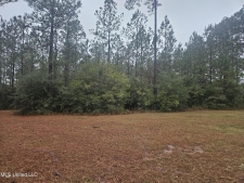 Listing Image #3 - Land for sale at E Lake Cypress Drive, Perkinston MS 39573