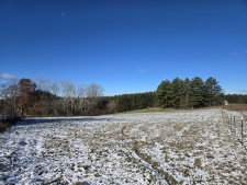 Listing Image #2 - Land for sale at 00 Nessett Rd, Coon WI 54667