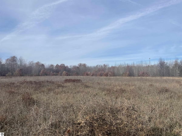 Listing Image #3 - Others for sale at NHN N Clare Avenue, Harrison MI 48625