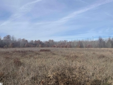 Listing Image #3 - Others for sale at NHN N Clare Avenue, Harrison MI 48625