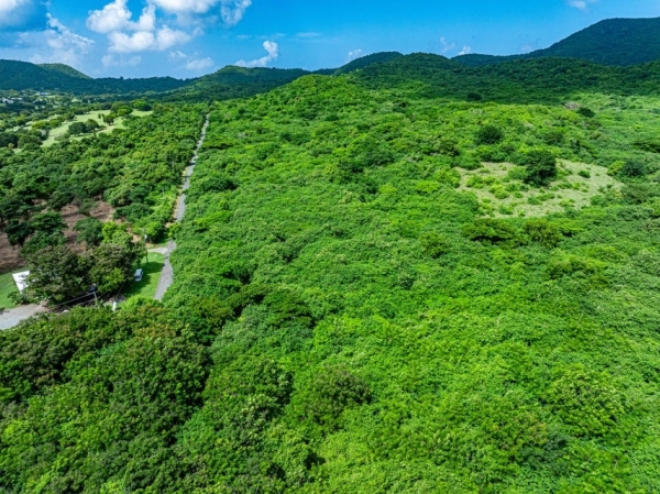 Listing Image #2 - Land for sale at 1-D River PR, St. Croix VI 00840 Listing Image #2 - Land for sale at 1-D River PR, St. Croix VI 00840