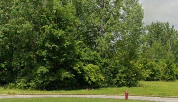 Listing Image #2 - Land for sale at 3400 Hallmark Court, Saginaw MI 48603 Listing Image #2 - Land for sale at 3400 Hallmark Court, Saginaw MI 48603