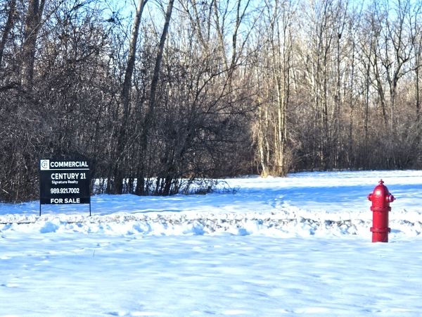 Listing Image #3 - Land for sale at 3400 Hallmark Court, Saginaw MI 48603