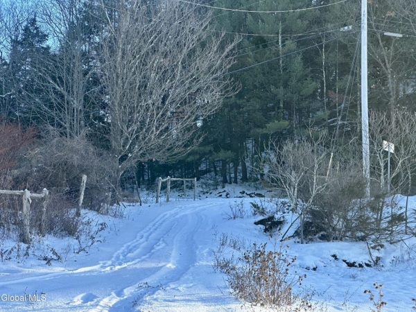 Listing Image #2 - Others for sale at 717 County Route 9, Whitehall NY 12887