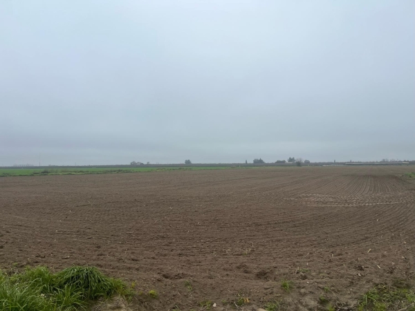 Listing Image #3 - Land for sale at 8631 Mitchell Road, Ceres CA 95307