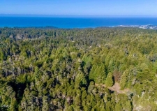 Listing Image #2 - Land for sale at 43535 Comptche Ukiah Road, Mendocino CA 95460