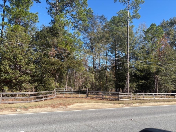 Listing Image #1 - Land for sale at 515 000,515,521,527 Us Hwy 27 S., Colquitt GA 39837 Listing Image #1 - Land for sale at 515 000,515,521,527 Us Hwy 27 S., Colquitt GA 39837