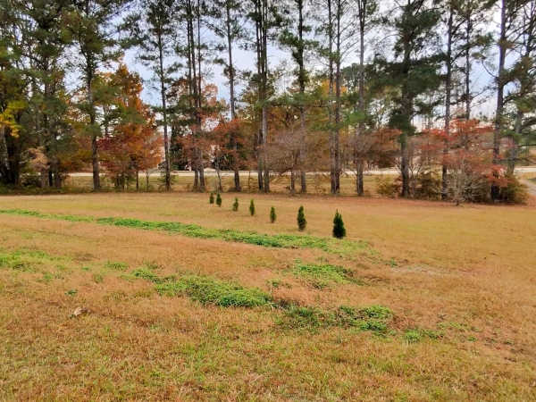 Listing Image #3 - Retail for sale at 115 Frog Rd, B, Locust Grove GA 30248