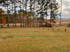Listing Image #2 - Land for sale at 115 Frog Rd, A, Locust Grove GA 30248
