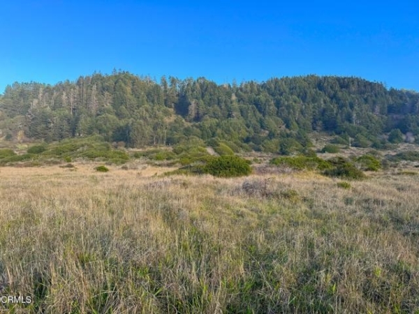 Listing Image #3 - Land for sale at 40101 Ca-1, Westport CA 95488