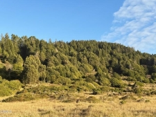 Listing Image #2 - Land for sale at 40101 Ca-1, Westport CA 95488