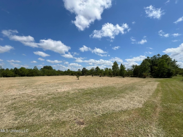Listing Image #1 - Land for sale at 8485 James Pierce Road, Moss Point MS 39562 Listing Image #1 - Land for sale at 8485 James Pierce Road, Moss Point MS 39562