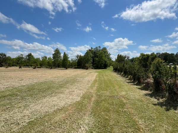 Listing Image #3 - Land for sale at 8485 James Pierce Road, Moss Point MS 39562 Listing Image #3 - Land for sale at 8485 James Pierce Road, Moss Point MS 39562