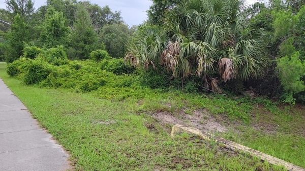 Listing Image #1 - Land for sale at 2041 Catalina Blvd 2051 Catalina Blvd, Deltona FL 32738