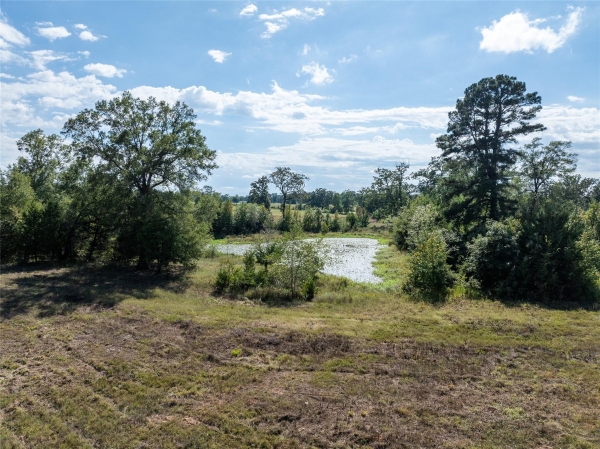 Listing Image #3 - Land for sale at 0 CR 2142, Detroit TX 75436