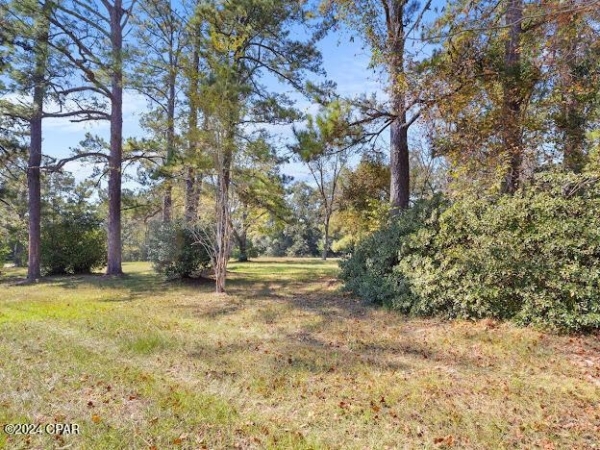 Listing Image #2 - Land for sale at 1205 S Waukesha Street, Bonifay FL 32425