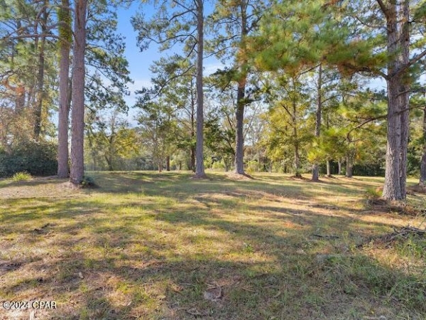Listing Image #3 - Land for sale at 1205 S Waukesha Street, Bonifay FL 32425