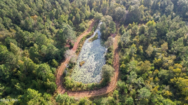 Listing Image #3 - Land for sale at Penny Road, Cottondale FL 32431