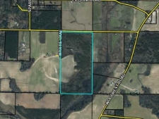 Listing Image #2 - Land for sale at Penny Road, Cottondale FL 32431