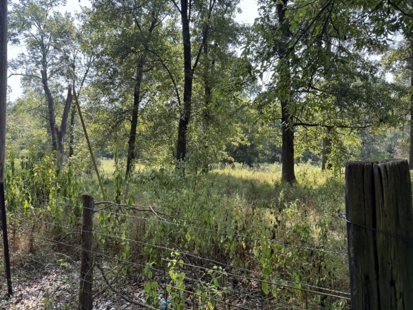 Listing Image #2 - Land for sale at TBD Harris School Road, Johnston City IL 62951