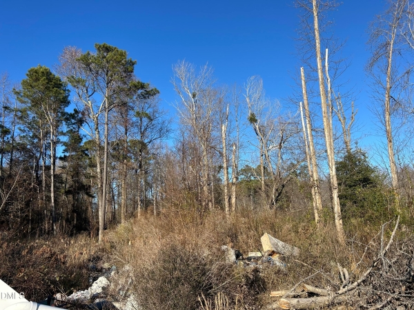 Listing Image #2 - Others for sale at 0 Guy Road, Clayton NC 27520