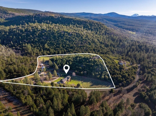 Listing Image #3 - Others for sale at 12757 Fern Road, Whitmore CA 96096