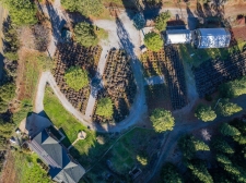 Listing Image #2 - Others for sale at 12757 Fern Road, Whitmore CA 96096