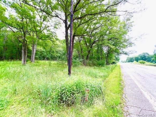 Listing Image #1 - Multi-family for sale at 7584 N Route 97 S, Narrowburg NY 12764