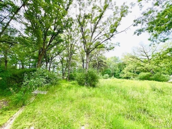 Listing Image #3 - Multi-family for sale at 7584 N Route 97 S, Narrowburg NY 12764