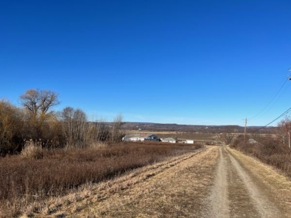 Listing Image #2 - Multi-family for sale at 41 Bierstine Lane, Pine Island NY 10969