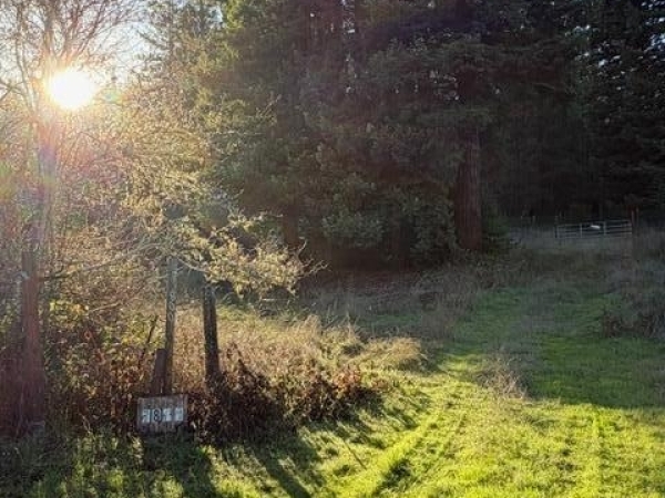 Listing Image #3 - Land for sale at 7800 Flynn Creek Road, Comptche CA 95427