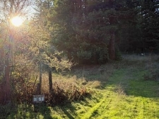 Listing Image #3 - Land for sale at 7800 Flynn Creek Road, Comptche CA 95427