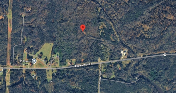 Listing Image #3 - Land for sale at 8531 Thomaston Rd., Macon GA 31220