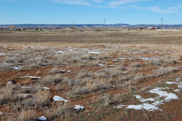 Listing Image #3 - Land for sale at 72 County Road 130, Hesperus CO 81326