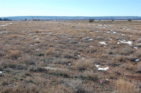 Listing Image #3 - Land for sale at 84 County Road 130, Hesperus CO 81326