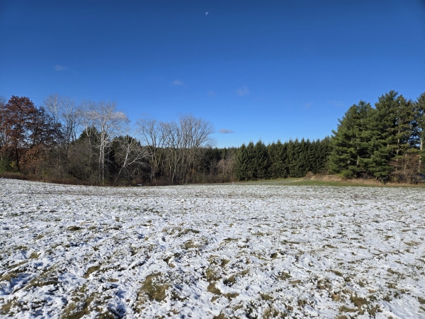 Listing Image #1 - Land for sale at 00 Nessett Rd, Coon WI 54667
