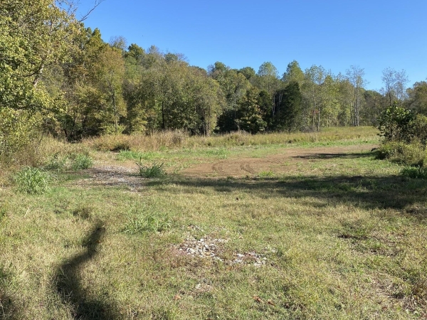 Listing Image #1 - Land for sale at 901 Britton Springs Rd, Clarksville TN 37042