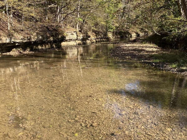 Listing Image #3 - Land for sale at 901 Britton Springs Rd, Clarksville TN 37042