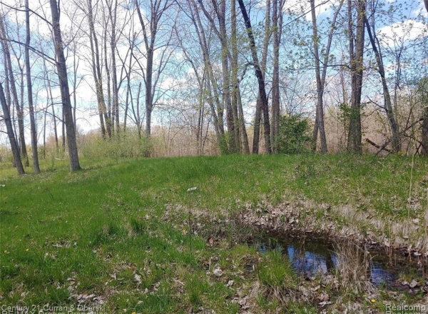 Listing Image #3 - Others for sale at 16620 Vining Road, Romulus MI 48174