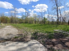 Listing Image #2 - Others for sale at 16620 Vining Road, Romulus MI 48174