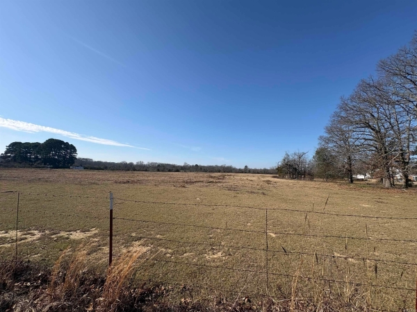 Listing Image #2 - Others for sale at 000 S German, Conway AR 72034