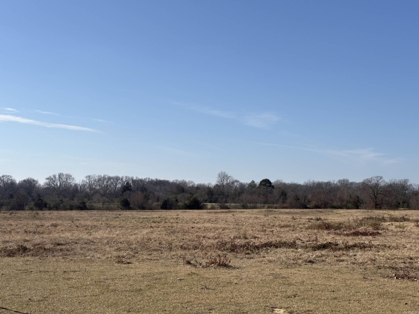 Listing Image #3 - Others for sale at 000 S German, Conway AR 72034