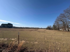 Listing Image #2 - Others for sale at 000 S German, Conway AR 72034