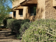 Listing Image #2 - Others for sale at 3620 N Industrial Way, Wickenburg AZ 85390