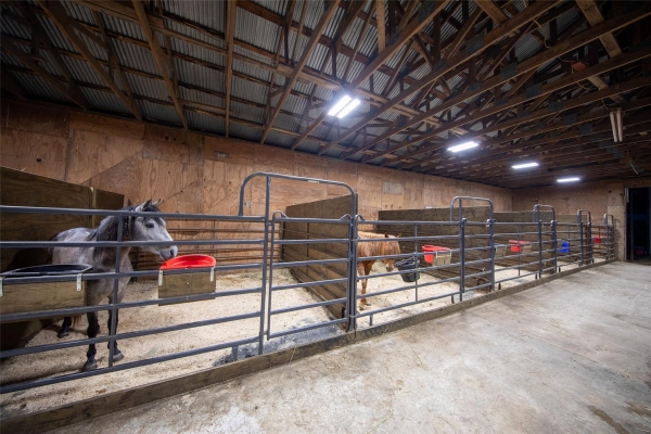 Listing Image #3 - Others for sale at 1095 FM 194, Blossom TX 75416