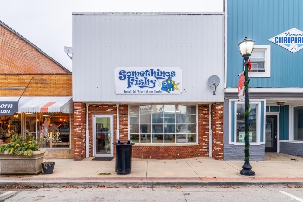 Listing Image #1 - Others for sale at 117 E Toledo Street, Fremont IN 46737