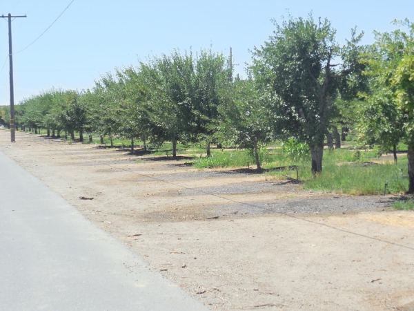 Listing Image #2 - Land for sale at 2200 Encinal Road, Live Oak CA 95953