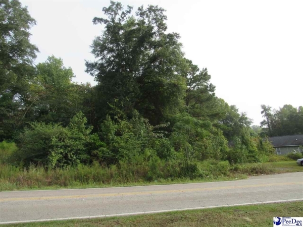 Listing Image #2 - Others for sale at TBD National Cemetery Rd., Florence SC 29506 Listing Image #2 - Others for sale at TBD National Cemetery Rd., Florence SC 29506